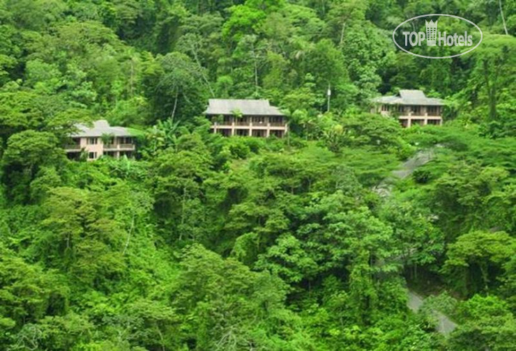 Hotelier's photos Lost Iguana Resort & Spa 4*