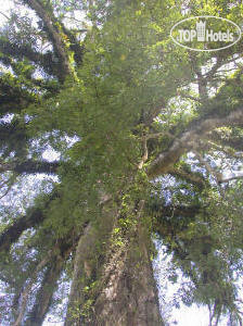 New photos from tourists La Ceiba 3*