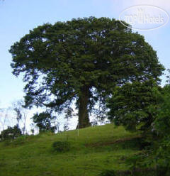 Hotelier's photos La Ceiba 3*