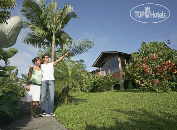 New photos from tourists Arenal Paraiso 3*