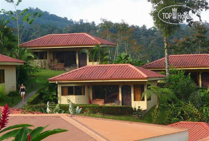Hotelier's photos Arenal Volcano Inn 3*