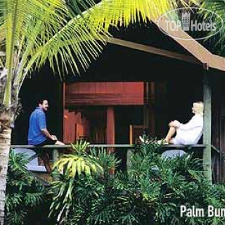 Фото Palm Bungalows