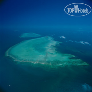 Photos Heron Island