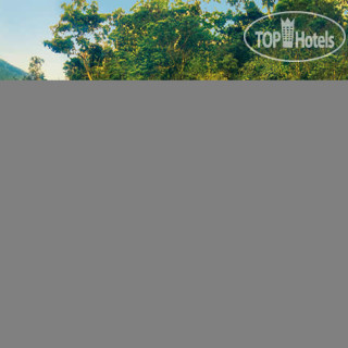 Photos Silky Oaks Lodge