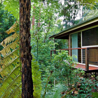 Фото Tree Houses of Montville