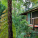 Photos Tree Houses of Montville