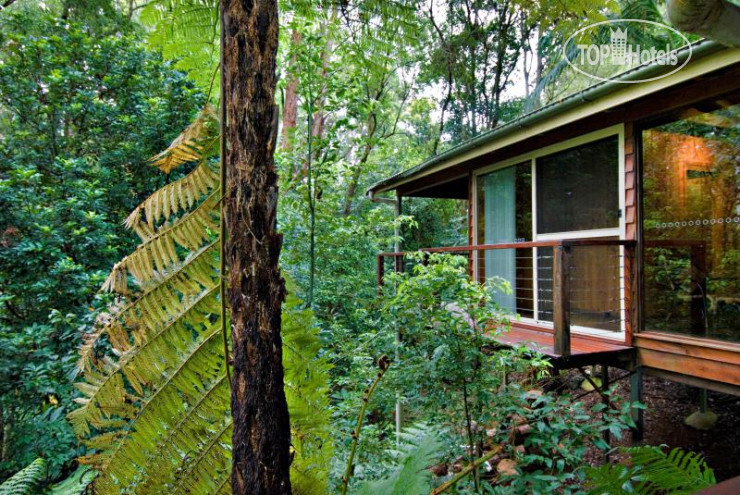 Photos Tree Houses of Montville