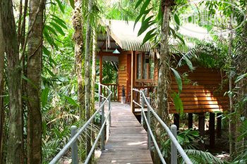 Фото Daintree Wilderness Lodge