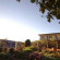 Photos Best Western Applegum Inn