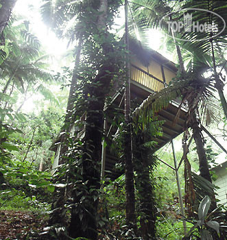 Hotel photo Daintree Eco Lodge & Spa 4*