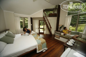 New photos from tourists Ferntree Rainforest Lodge 3*