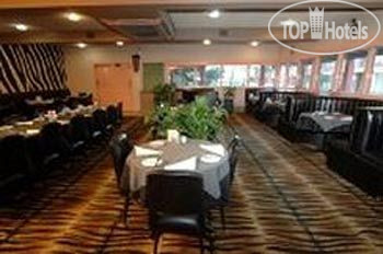 New photos from tourists Best Western Zebra Motel 3*