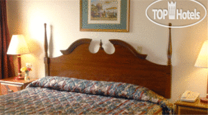 New photos from tourists Southern Ocean Lodge 5*