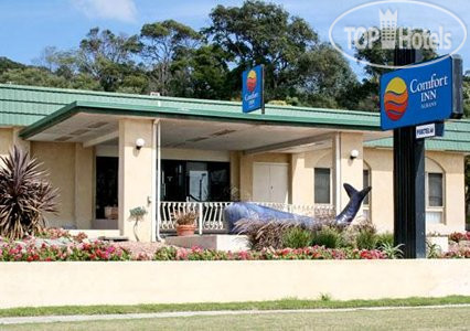 Hotelier's photos Comfort Inn Albany 3*