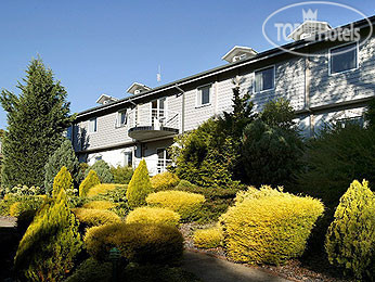 New photos from tourists Grand Mercure Pinnacle Valley 4*