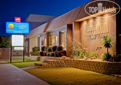 New photos from tourists Comfort Inn Campbell, Swan Hill 4*