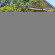 Photos Observatory Guest House