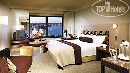 Новые добавленные фото туристов InterContinental Sydney 5*