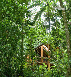 New photos from tourists Fur 'n' Feathers Rainforest Tree Houses 3*