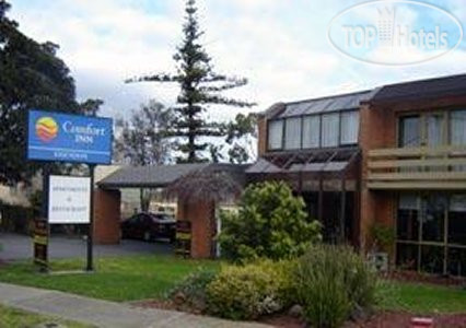 New photos from tourists Comfort Inn Essendon 3*
