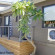 Photos Scarborough Observation Resort