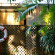 Фото Pinctada McAlpine House