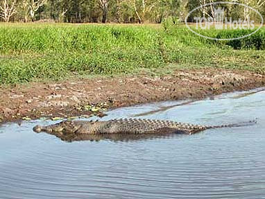 New photos from tourists Mercure Kakadu Crocodile Hotel 4*