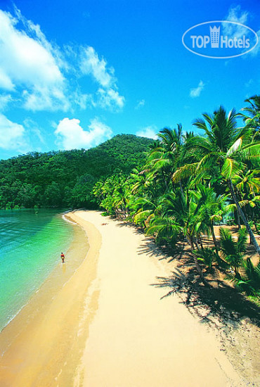 Новые добавленные фото туристов Dunk Island (закрыт) 4*