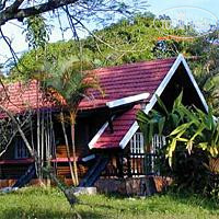 New photos from tourists Pinares de Mayari 3*