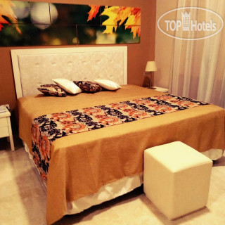 Photos Rio San Juan Hotel