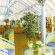 Karibea Amandiers Resort 4*