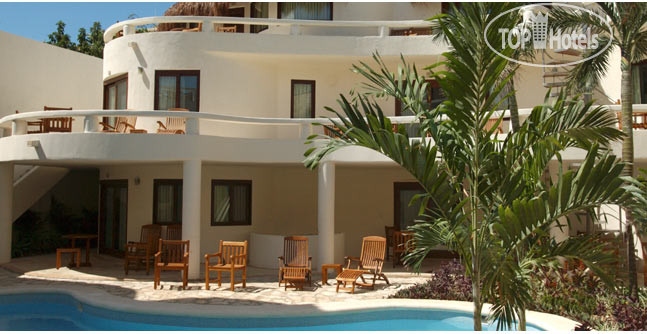 Photos Blue Parrot 5th Avenue Hotel