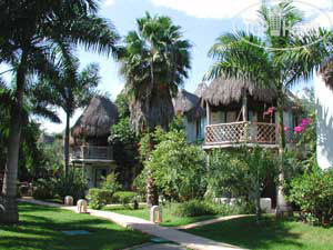 Photos Las Palapas