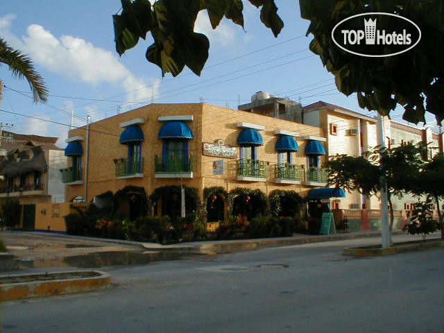 Photos Girasol