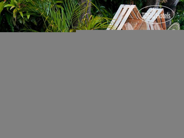New photos from tourists Real Bananas Hotel & Villas All Inclusive 3*