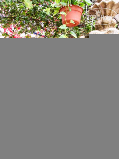 New photos from tourists El Rey Del Caribe Eco Hotel