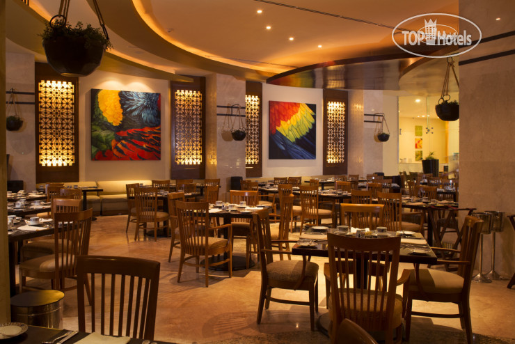 New photos from tourists Beach Palace 5*