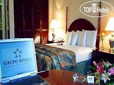 New photos from tourists Pedregal Palace 5*