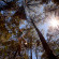 Photos Rodavento