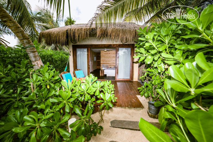 Photos Orchid Beach House