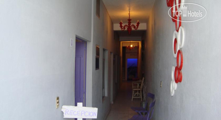 New photos from tourists San Miguel Hotelitto 3*