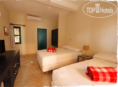 New photos from tourists Arena Hotel 3*
