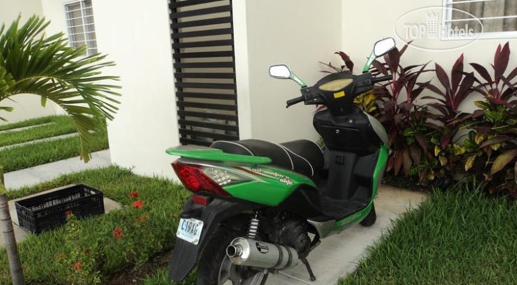New photos from tourists Sweet Home