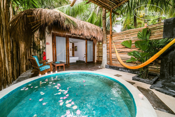 New photos from tourists Orchid Beach House 3*