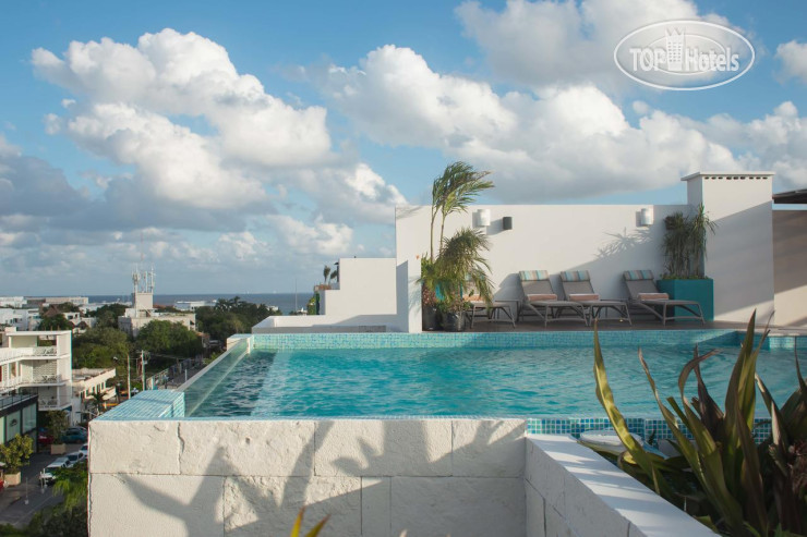 New photos from tourists KLR The Gallery Condos By Sercotel 5*