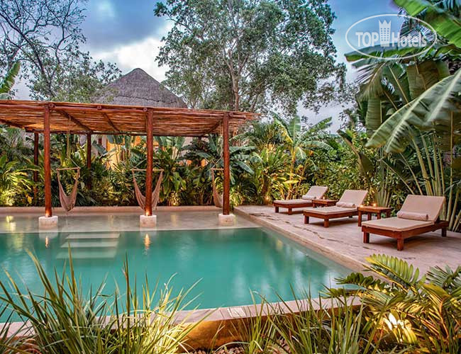 New photos from tourists Zenses Wellness & Yoga Resort 4*