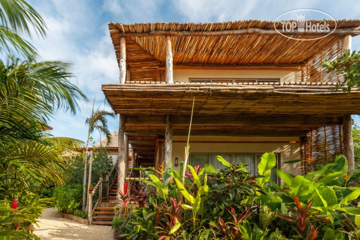 Hotel photo Hotel Shibari - Restaurant & Cenote Club 5*