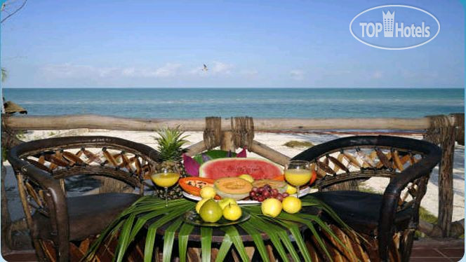 New photos from tourists Villa Flamingo 4*