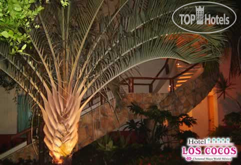 New photos from tourists Los Cocos 3*