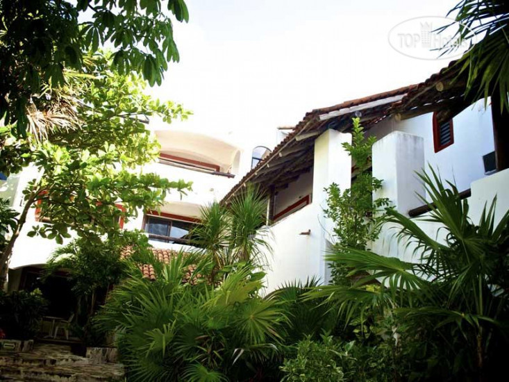 Hotelier's photos Pelicano Inn 3*